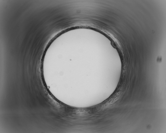X0000101220799200807251110