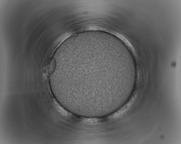 X0000101220801200807251110