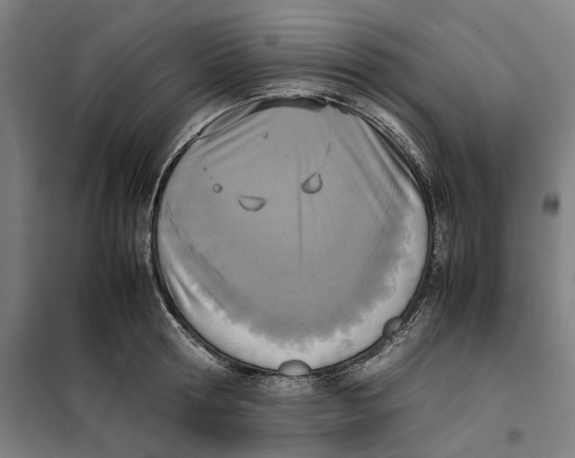 X0000101220802200807251110