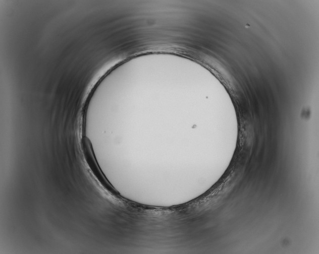 X0000101220804200807251110