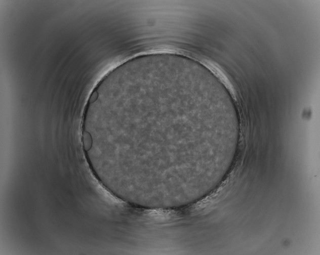 X0000101220805200807251110