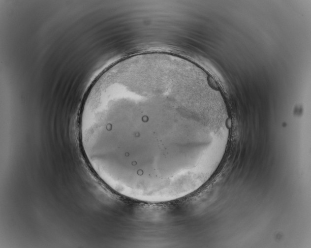 X0000101220806200807251110