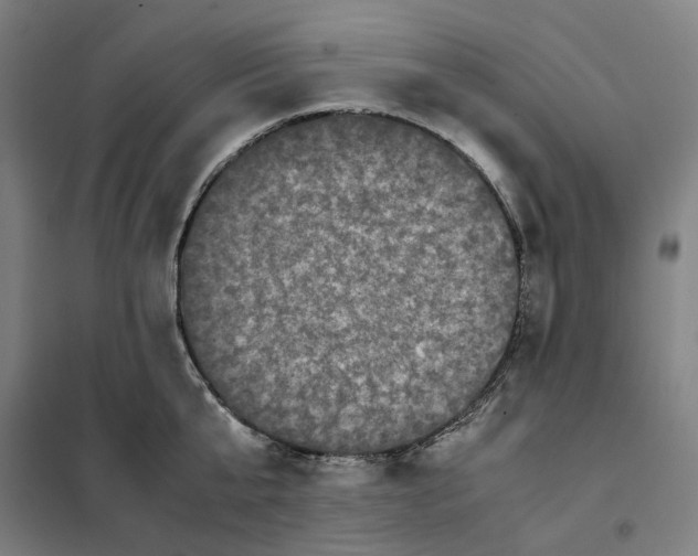 X0000101220807200807251110