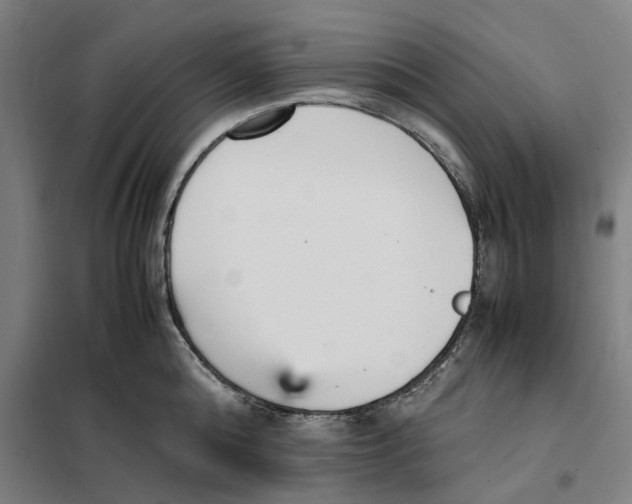 X0000101220808200807251110