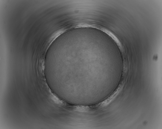 X0000101220809200807251110