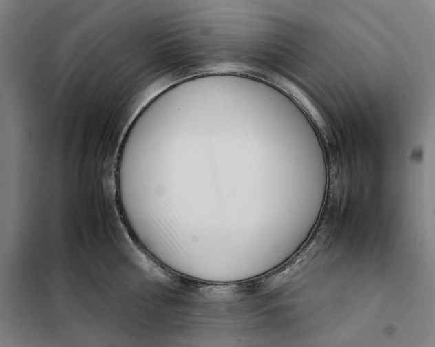 X0000101220810200807251110