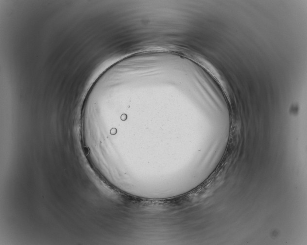 X0000101220811200807251110