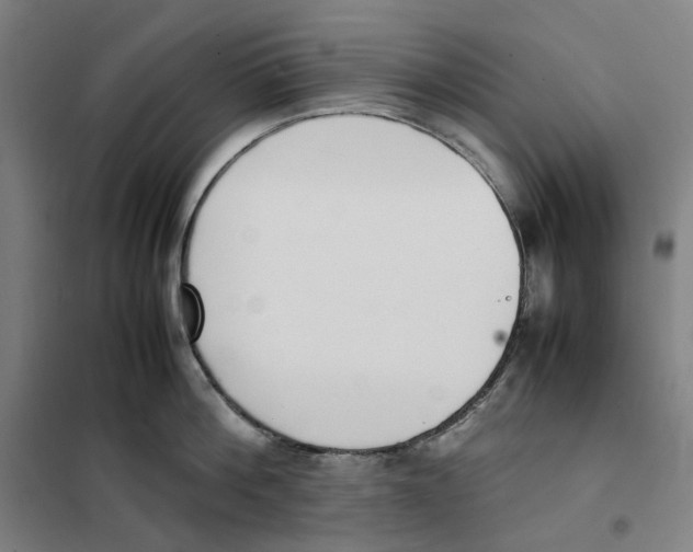 X0000101220812200807251110