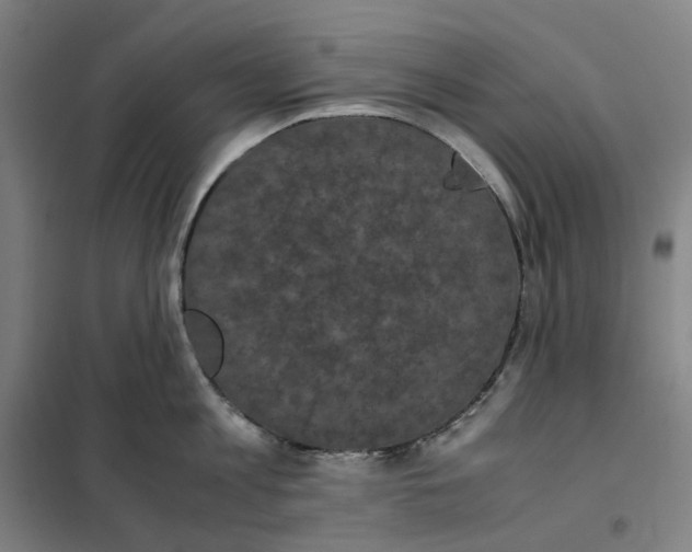 X0000101220813200807251110