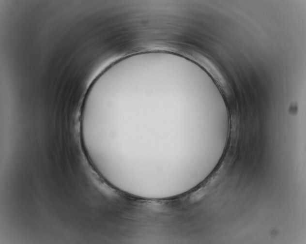 X0000101220814200807251110