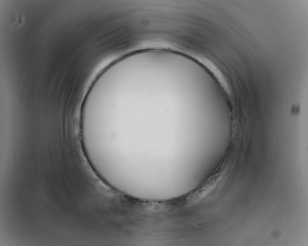X0000101220815200807251110