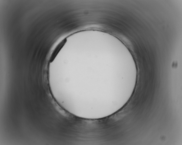 X0000101220816200807251110