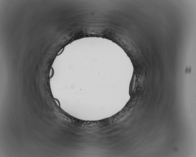 X0000101220817200807251109