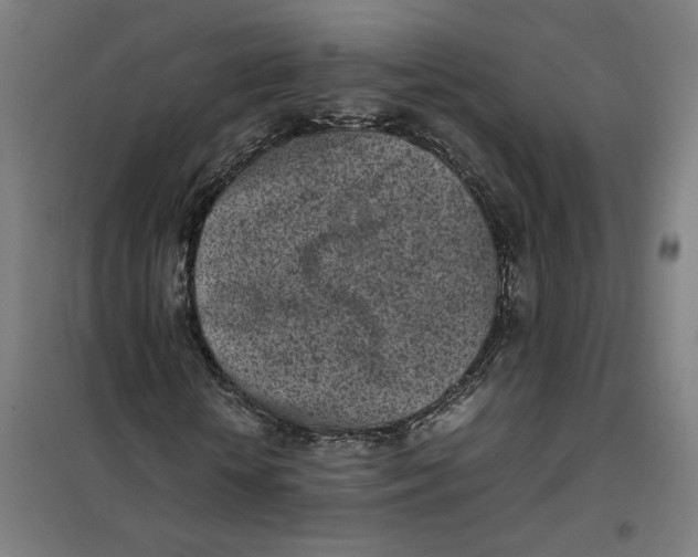 X0000101220818200807251109