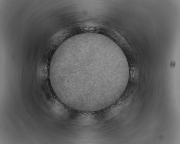 X0000101220820200807251109