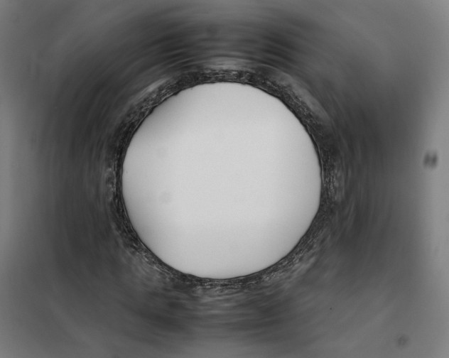 X0000101220821200807251109