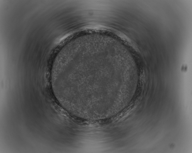 X0000101220822200807251109