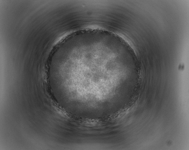 X0000101220823200807251109