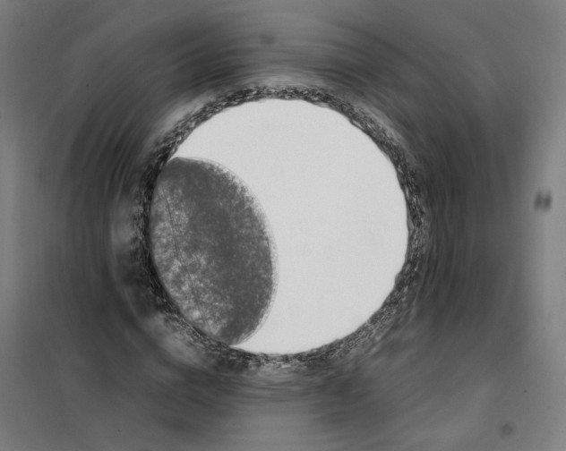 X0000101220824200807251109