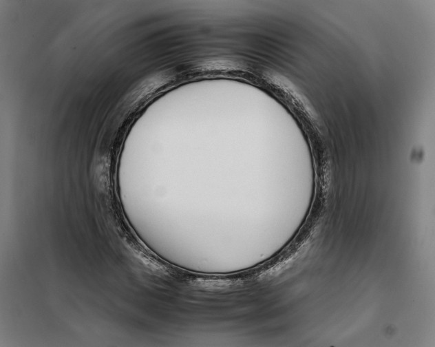 X0000101220825200807251109