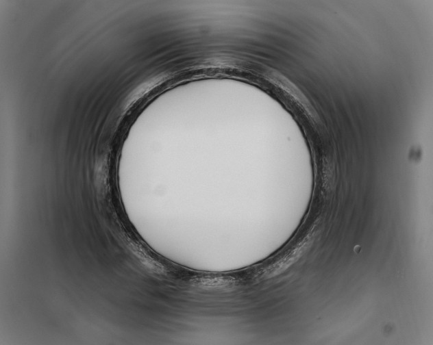 X0000101220826200807251109