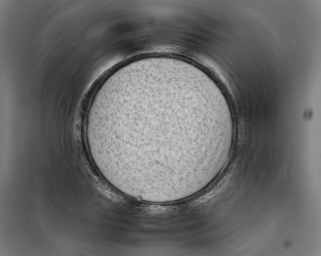 X0000101220827200807251109
