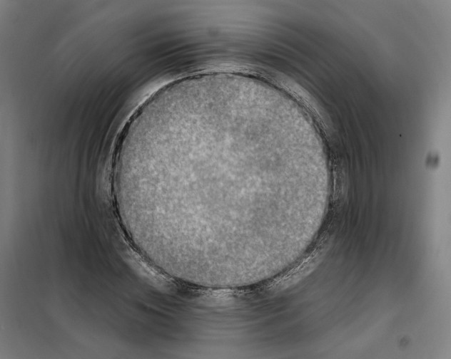X0000101220828200807251109