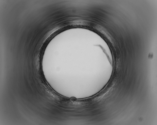 X0000101220829200807251109