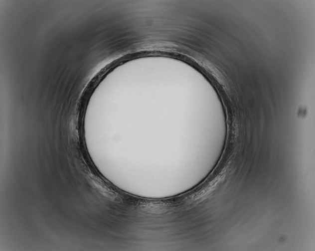 X0000101220830200807251109