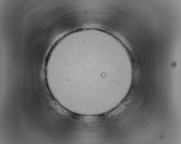 X0000101220832200807251109