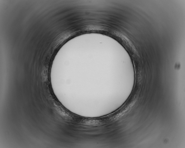 X0000101220833200807251109