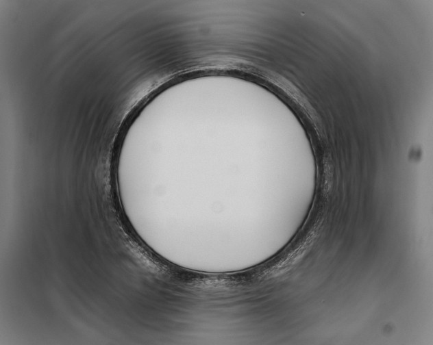 X0000101220834200807251109