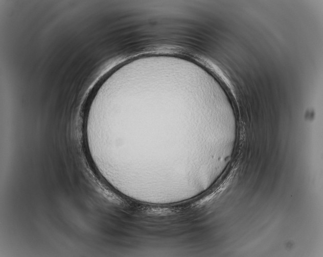 X0000101220835200807251109