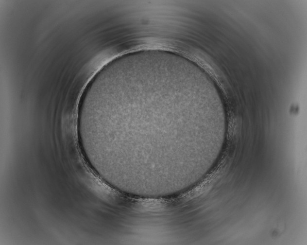 X0000101220836200807251109