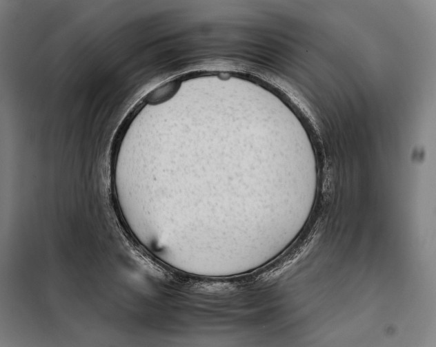 X0000101220837200807251109