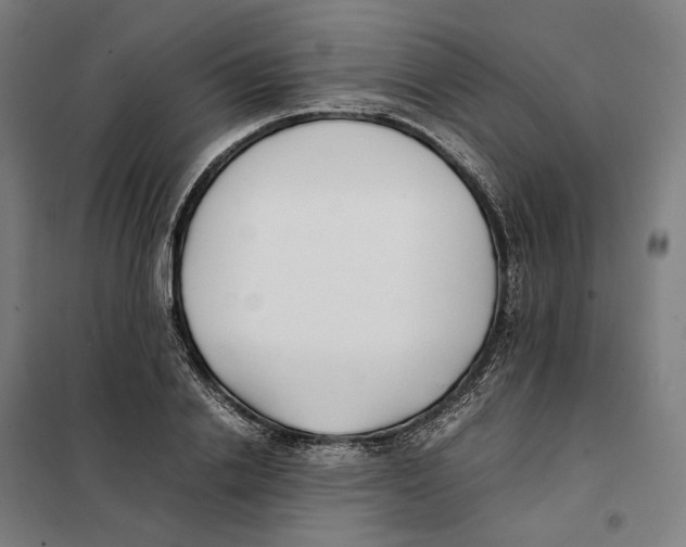 X0000101220838200807251109