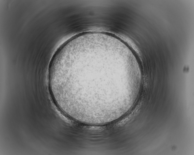 X0000101220839200807251109