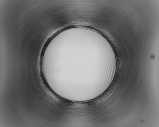 X0000101220840200807251109