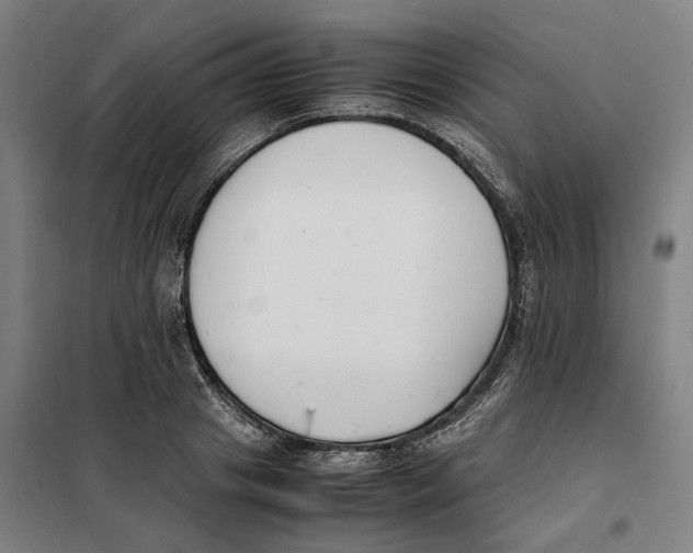 X0000101220841200807251109