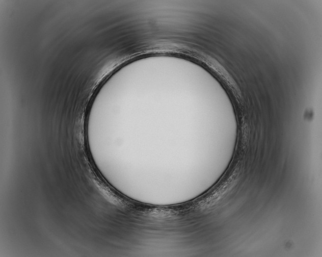 X0000101220842200807251109