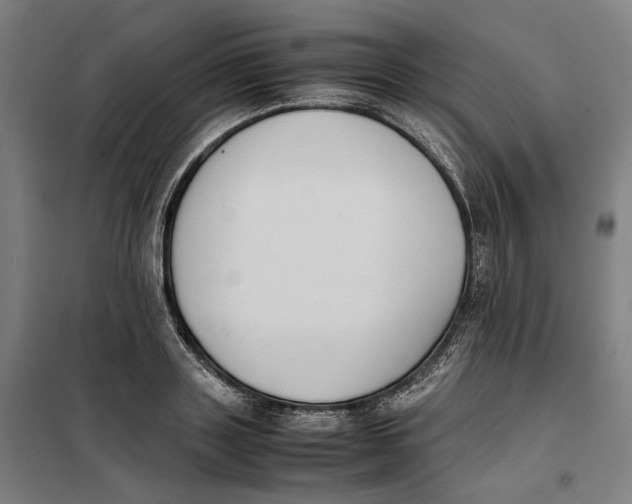 X0000101220843200807251109