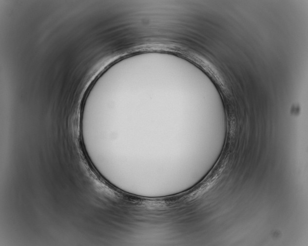 X0000101220844200807251110