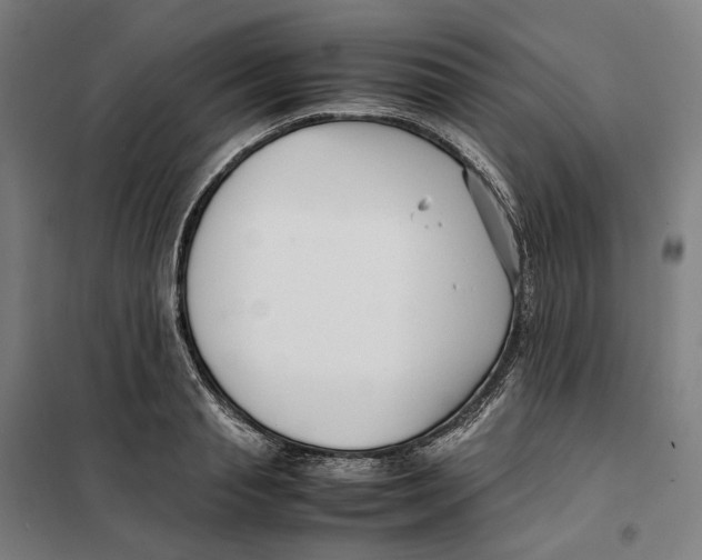 X0000101220845200807251110