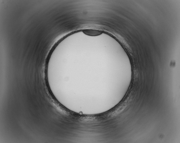 X0000101220846200807251110