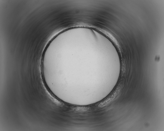 X0000101220847200807251110