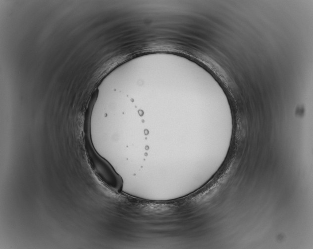 X0000101220849200807251110