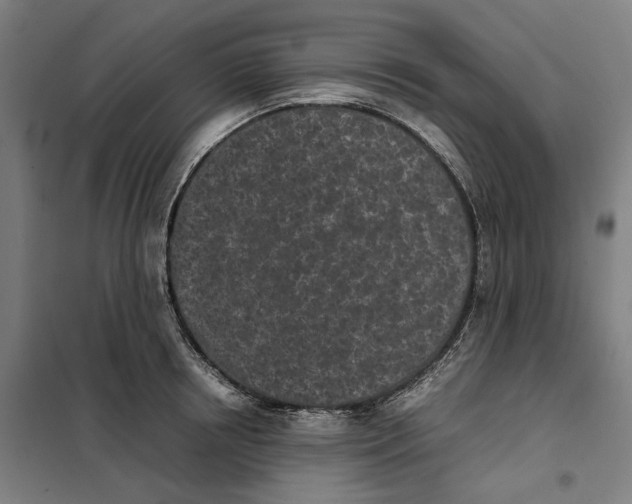 X0000101220850200807251110