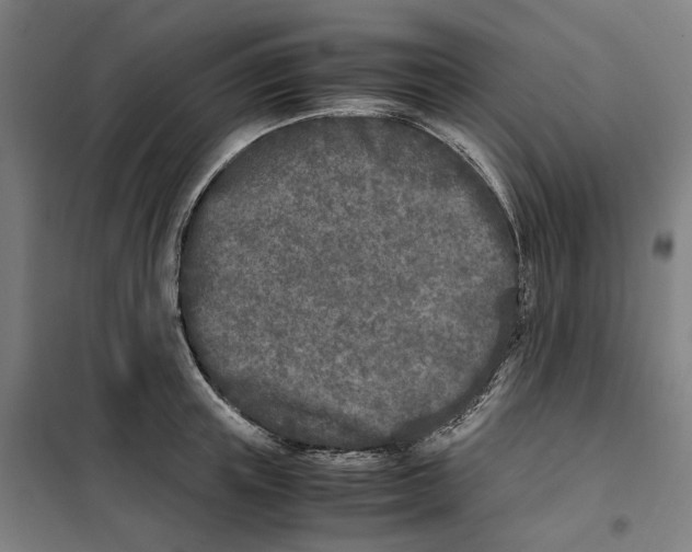 X0000101220851200807251110