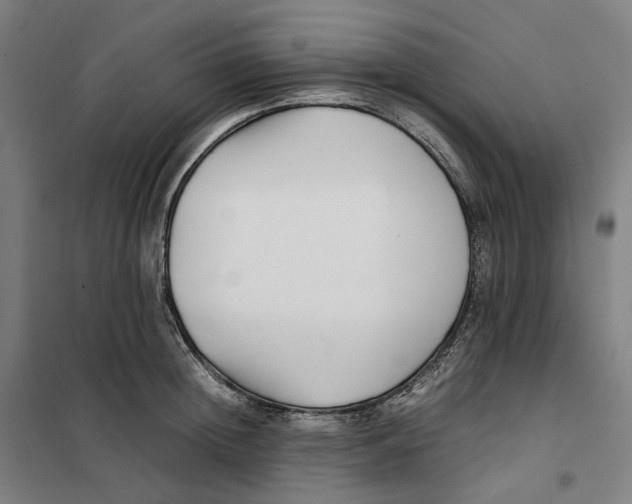 X0000101220852200807251110