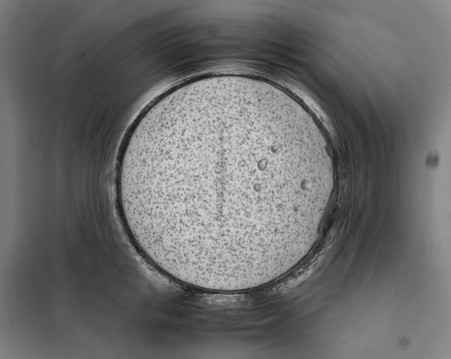 X0000101220853200807251110